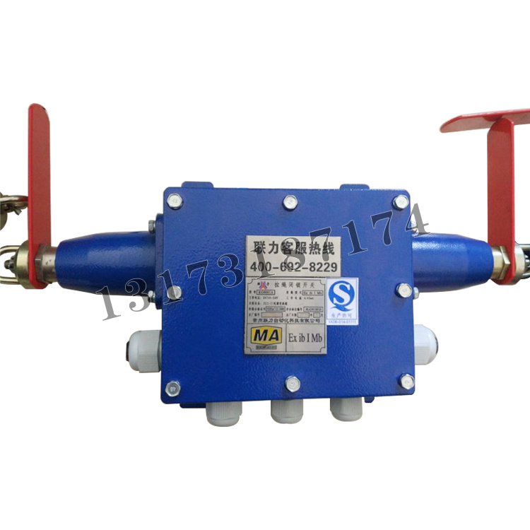 KG9001A-D拉繩閉鎖開(kāi)關(guān)|常州聯(lián)力自動(dòng)化科技有限公司