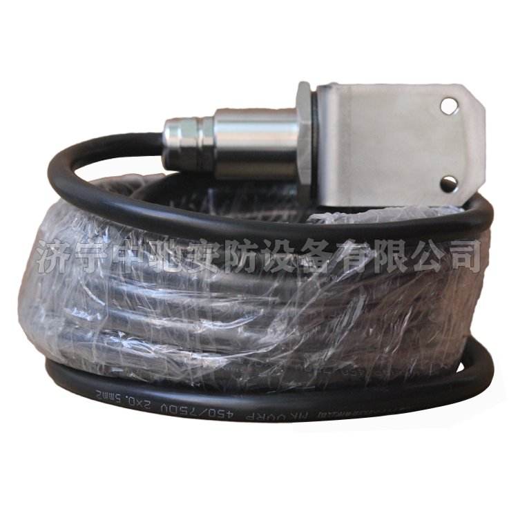 GWH300-W礦用本質(zhì)安全型溫度傳感器|天津華寧電子有限公司