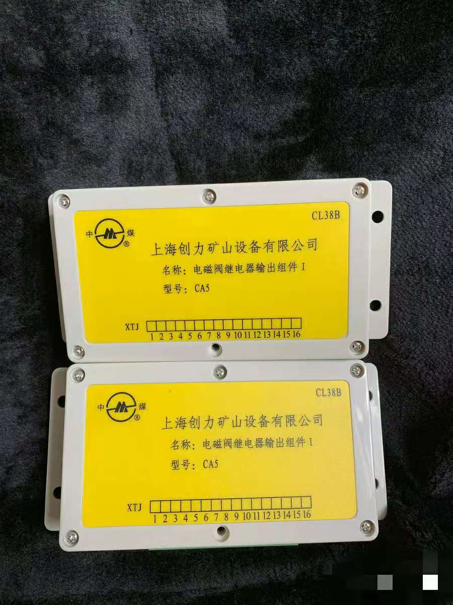 CA5電磁閥繼電器輸出組件I|上海創(chuàng)力集團股份有限公司